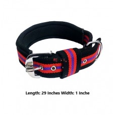 Super Dog Multicolor Padded Collar 1 Inch